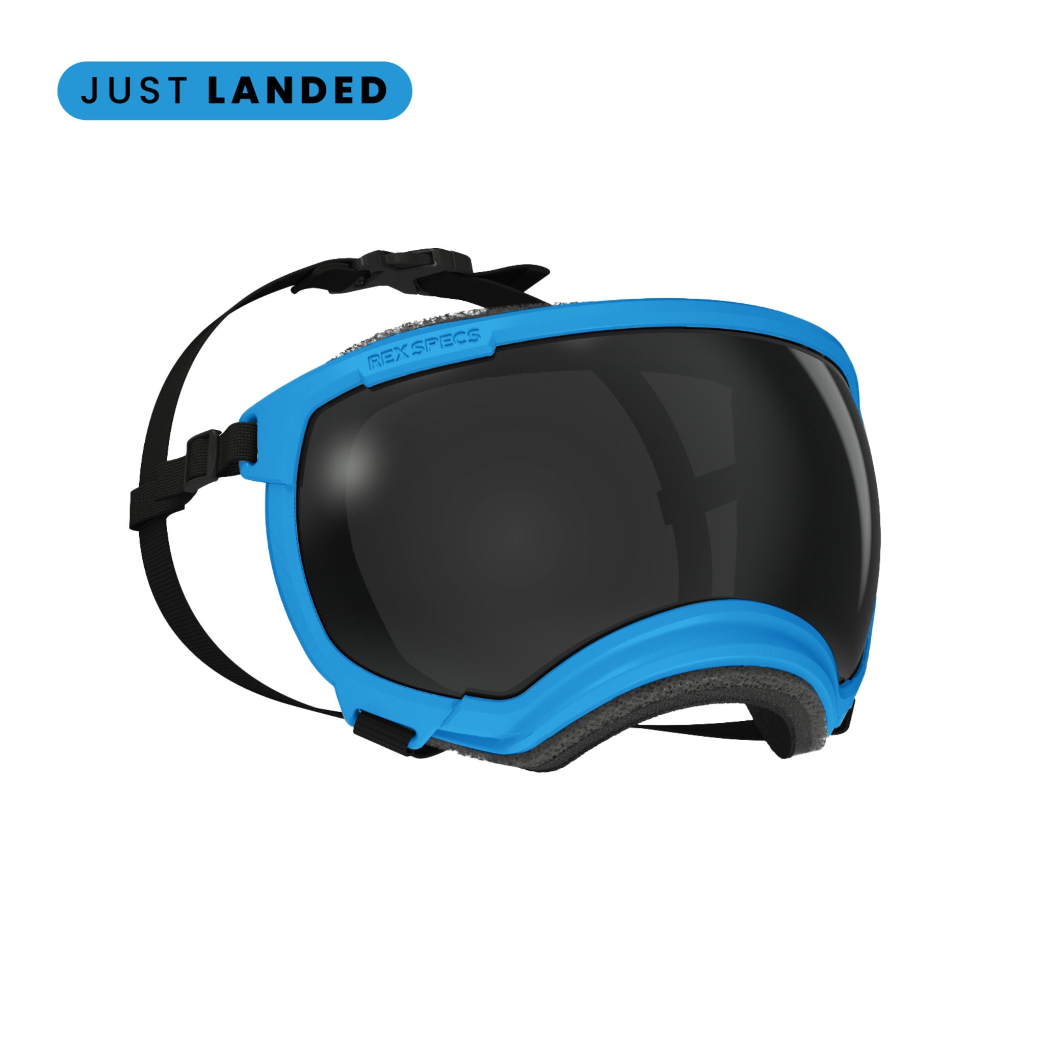 Dog Eyewear | Dog Goggles Eye Protection | Rex Specs