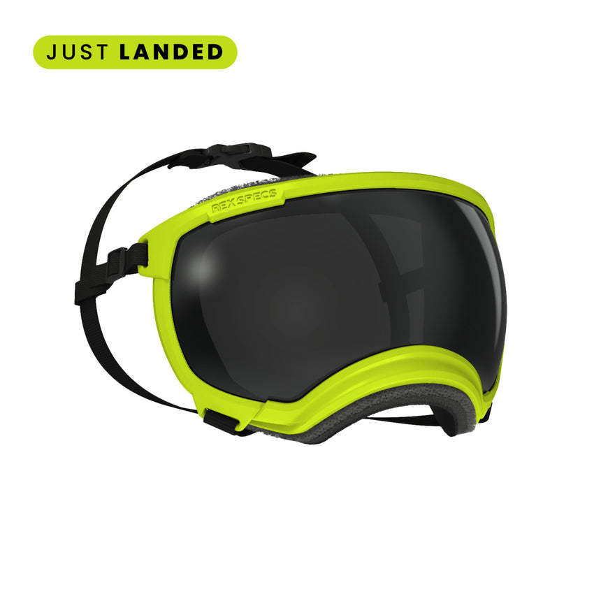 Goggles for Dogs - V2