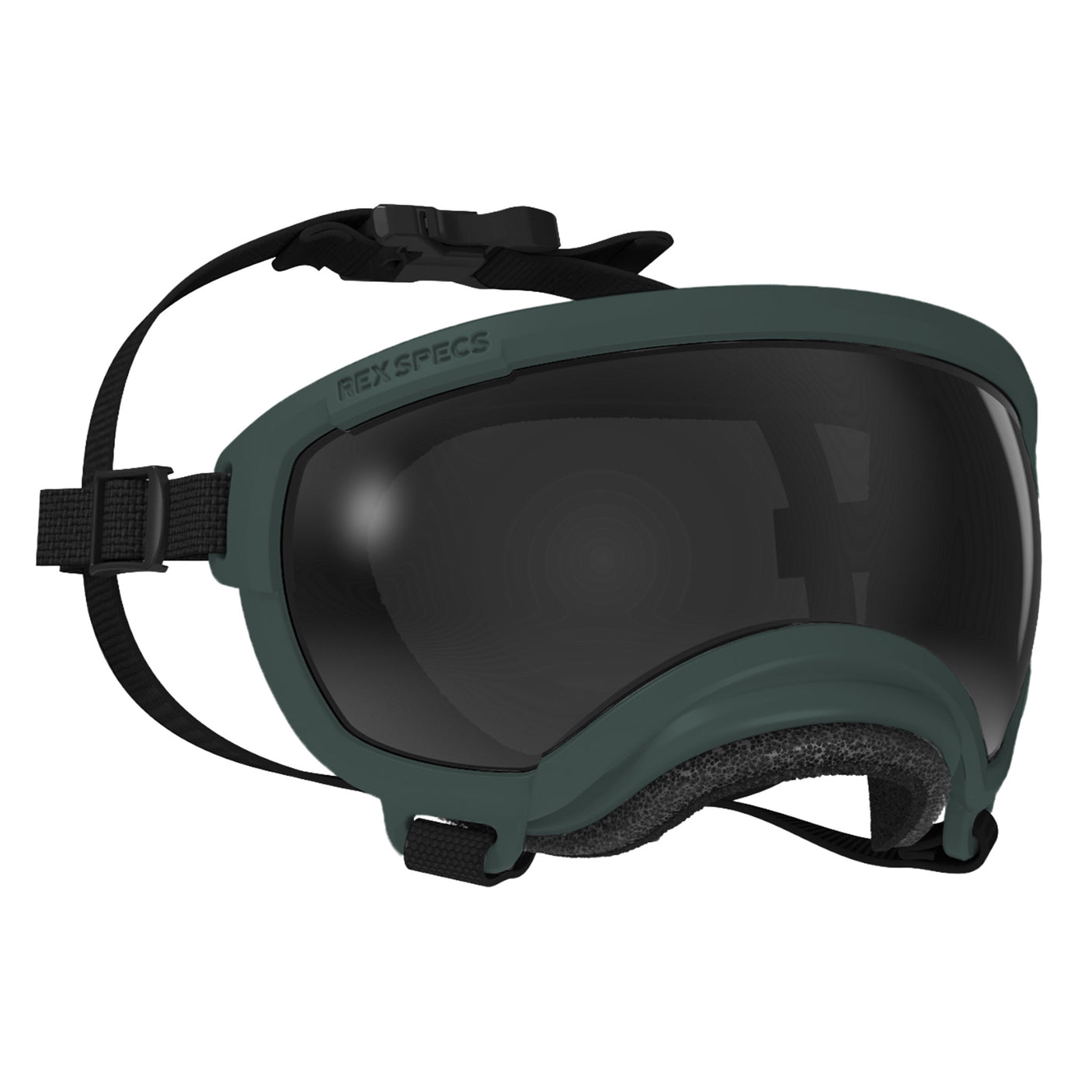 Goggles for Dogs - V2