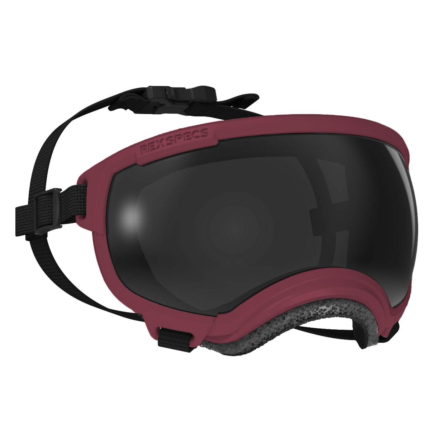 Goggles for Dogs - V2