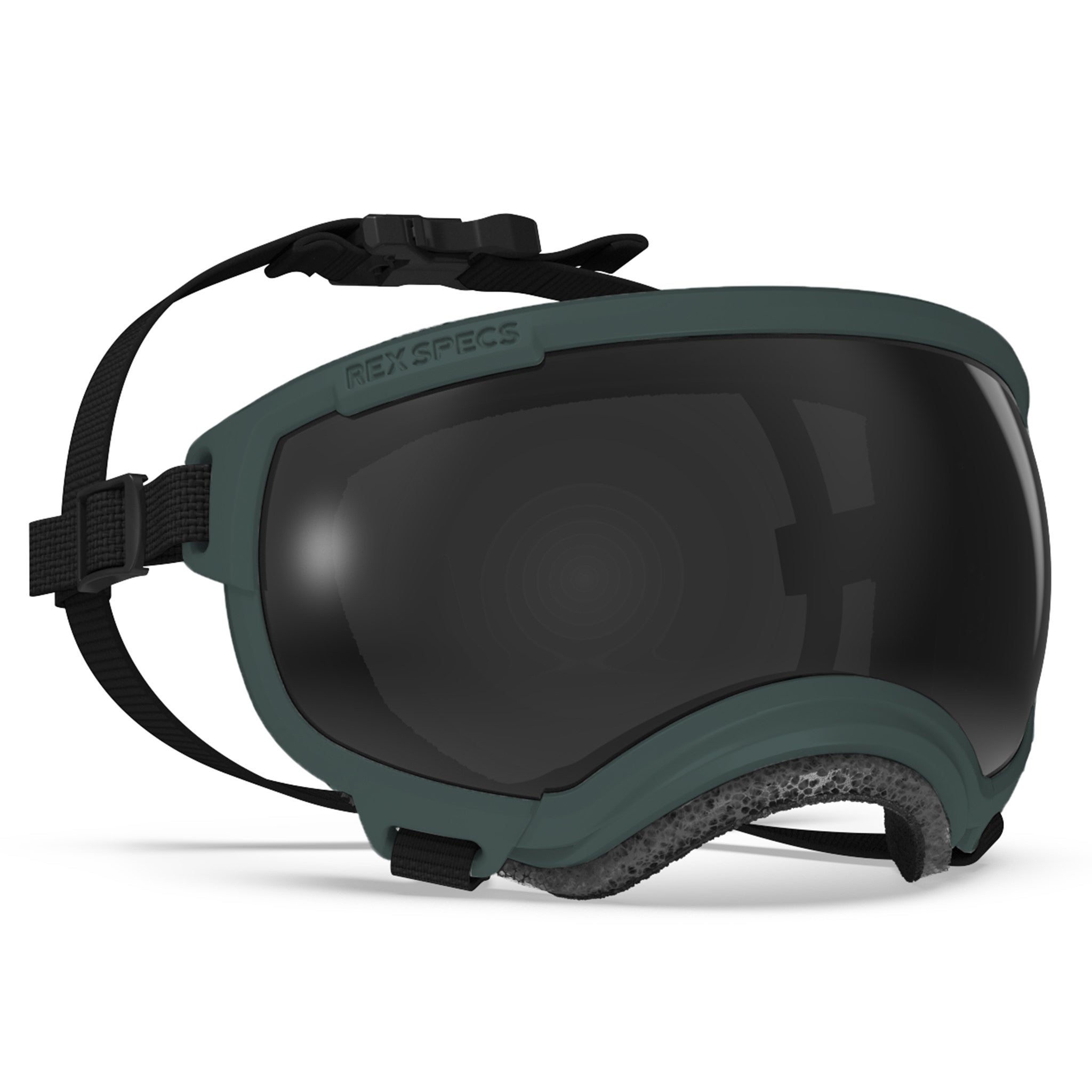 Dog Eyewear | Dog Goggles Eye Protection | Rex Specs