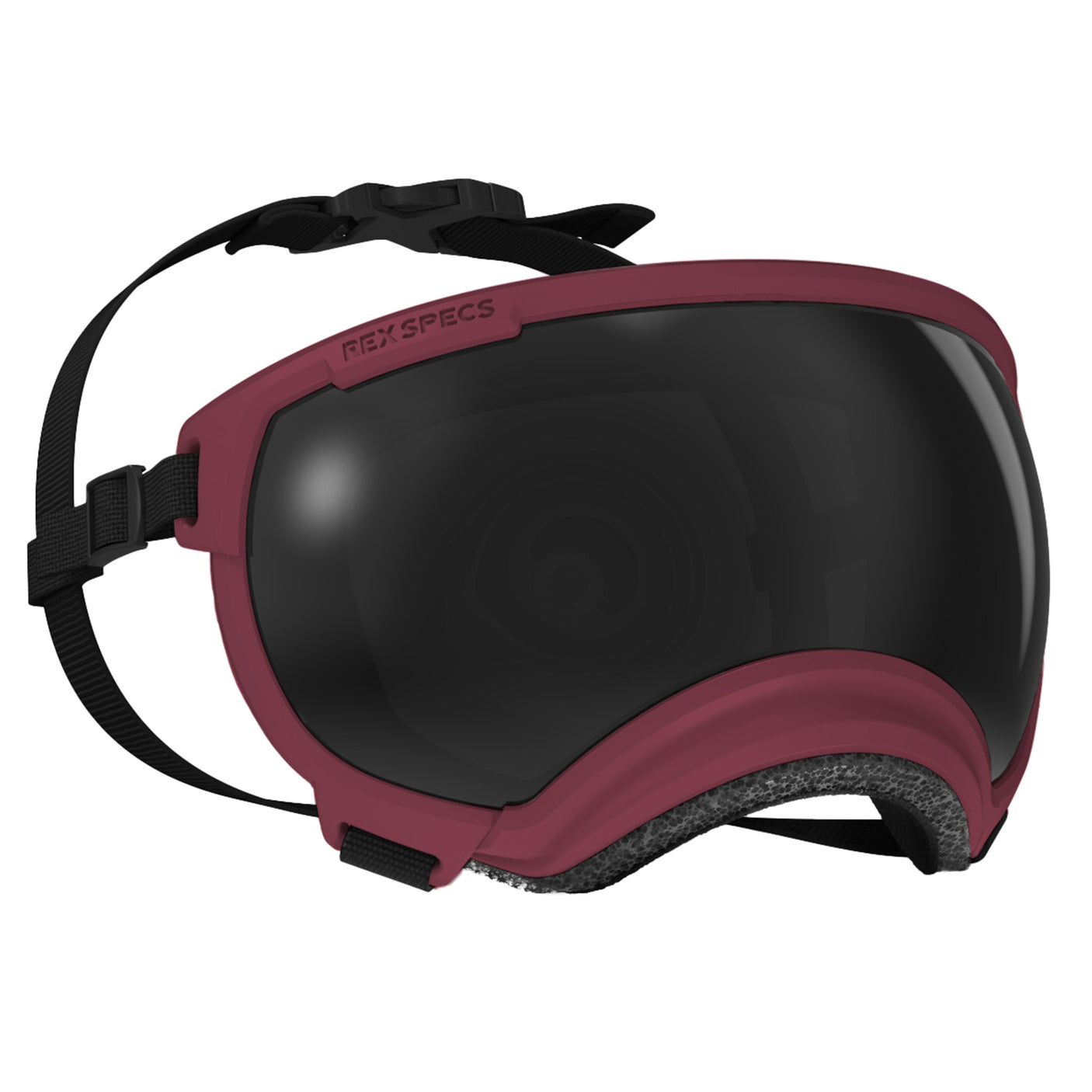 Goggles for Dogs - V2