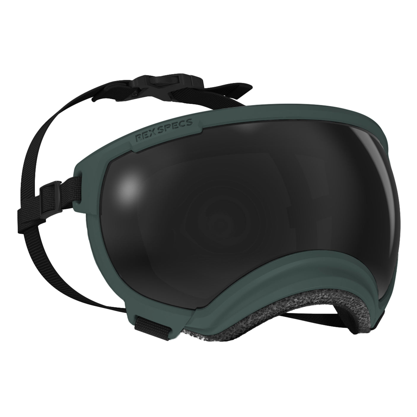 Goggles for Dogs - V2