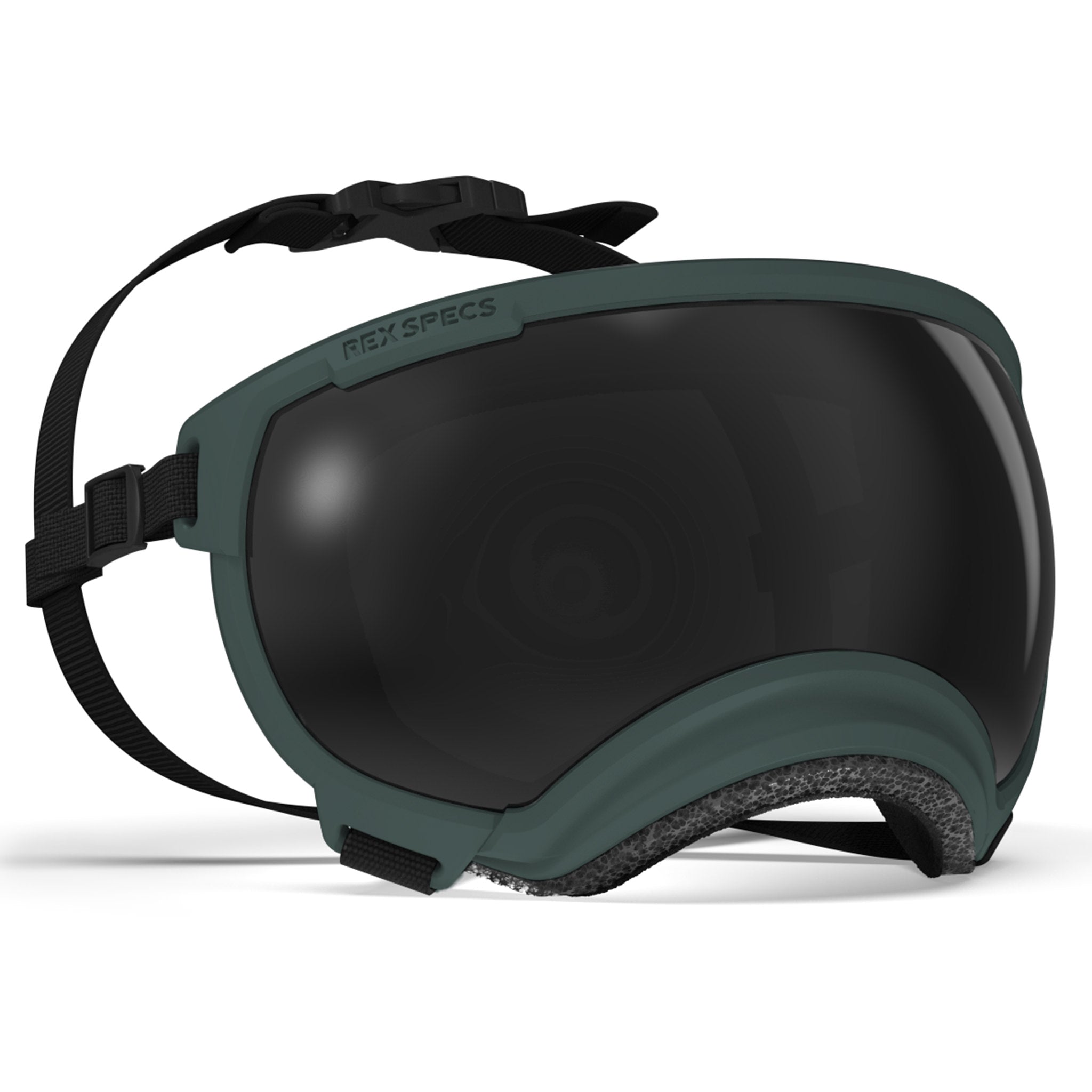 Dog Eyewear | Dog Goggles Eye Protection | Rex Specs