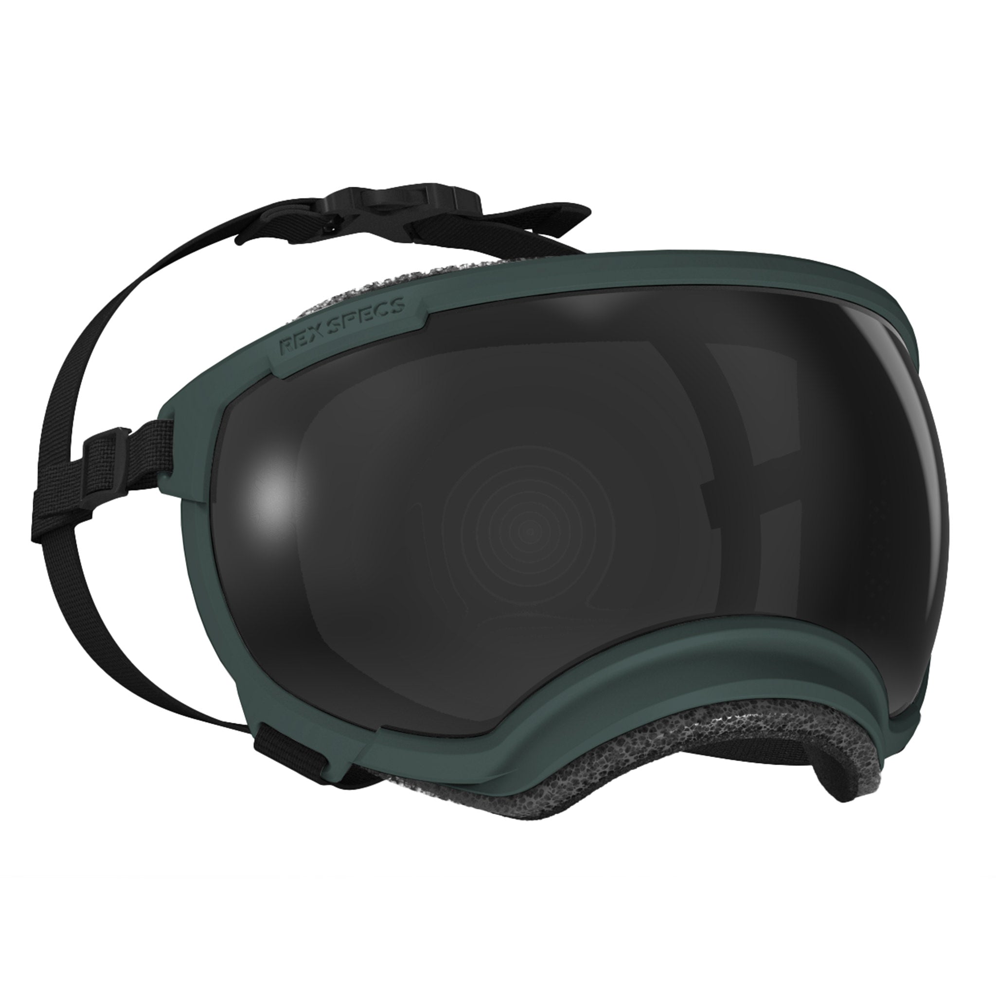 Dog Eyewear | Dog Goggles Eye Protection | Rex Specs
