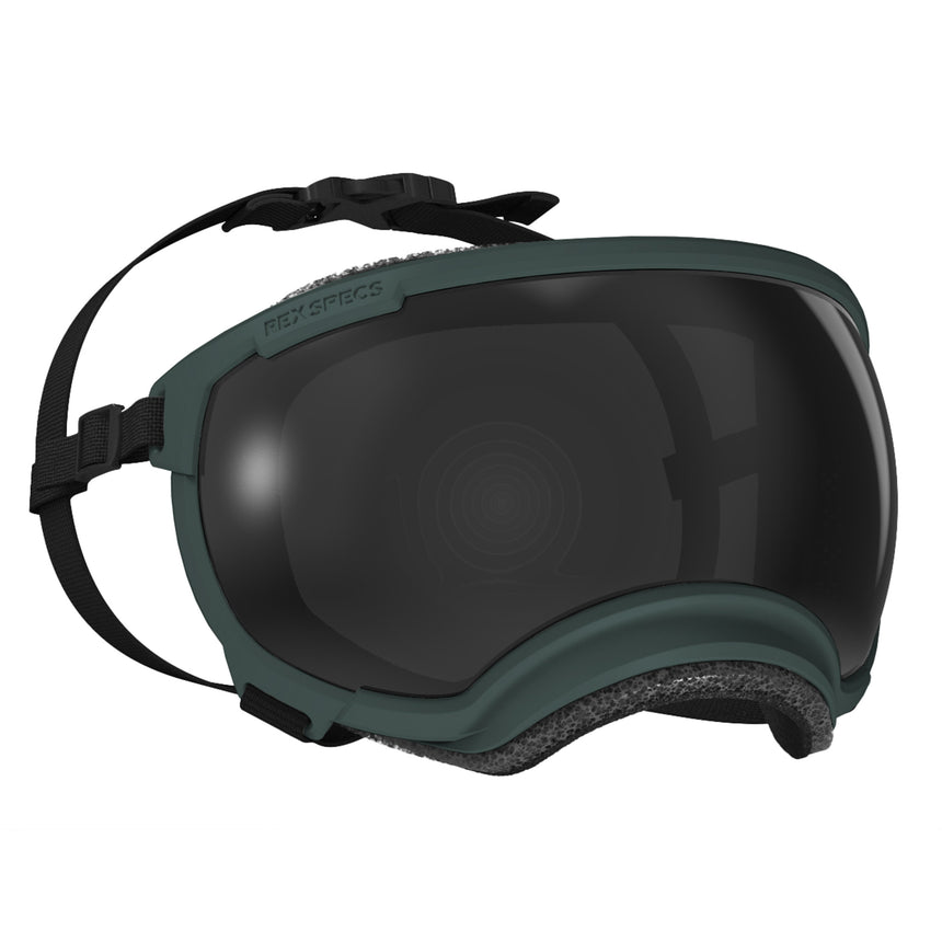 Goggles for Dogs - V2