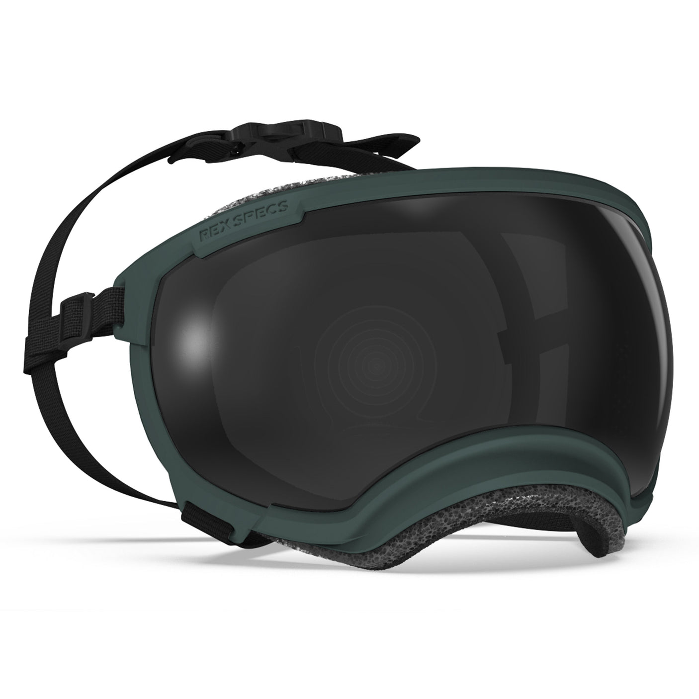 Goggles for Dogs - V2