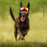 Goggles for Dogs - V2