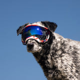 Goggles for Dogs - V2
