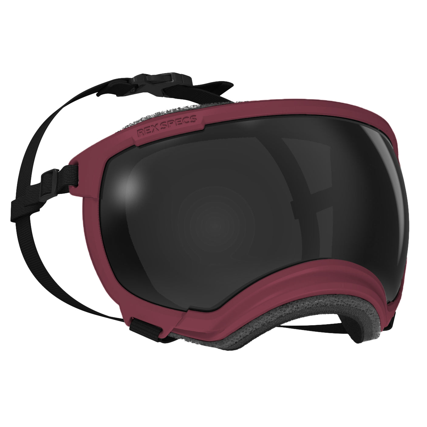 Goggles for Dogs - V2