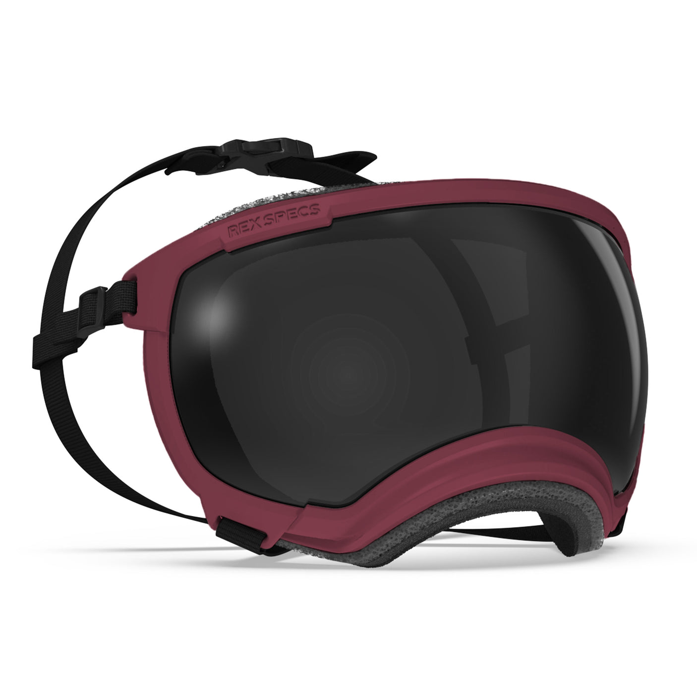 Goggles for Dogs - V2
