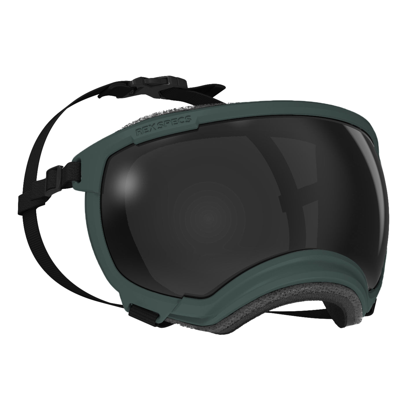 Goggles for Dogs - V2