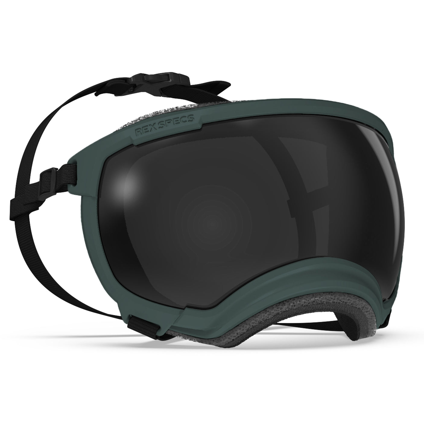 Goggles for Dogs - V2