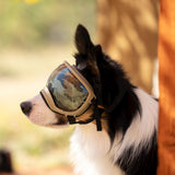 Dog Goggles Lens Wraps