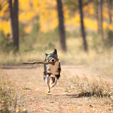 Dog Goggles Lens Wraps