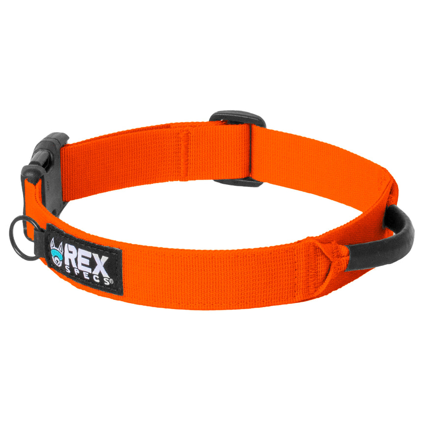 Ozark Orange Trailhead Collar Back