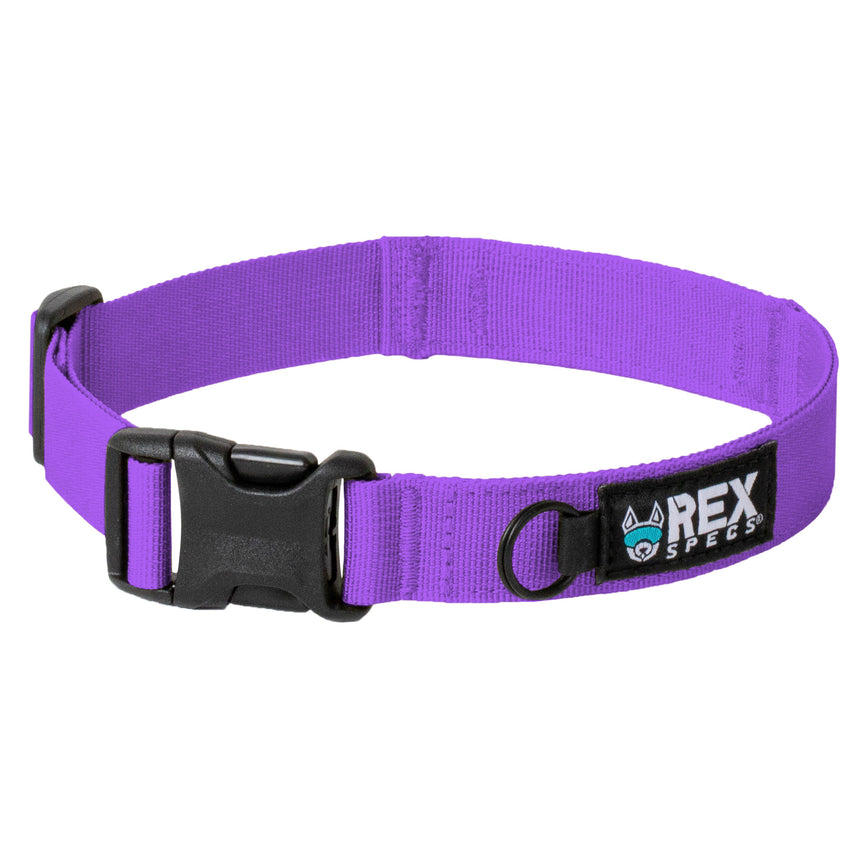 Pike Purple Trailhead Collar