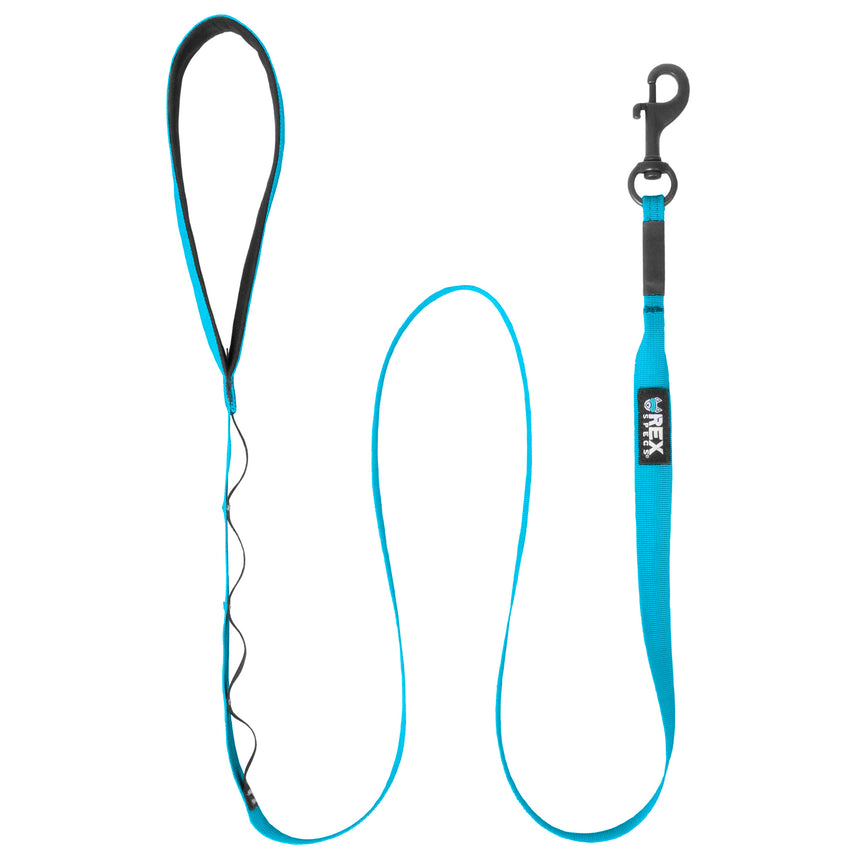 Bighorn Blue Trailhead Leash Single Snap