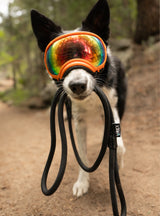 Climber Slip Lead