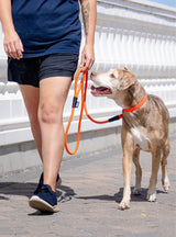 Climber Slip Lead