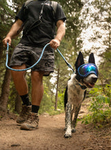 Climber Slip Lead