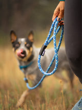 Climber Slip Lead