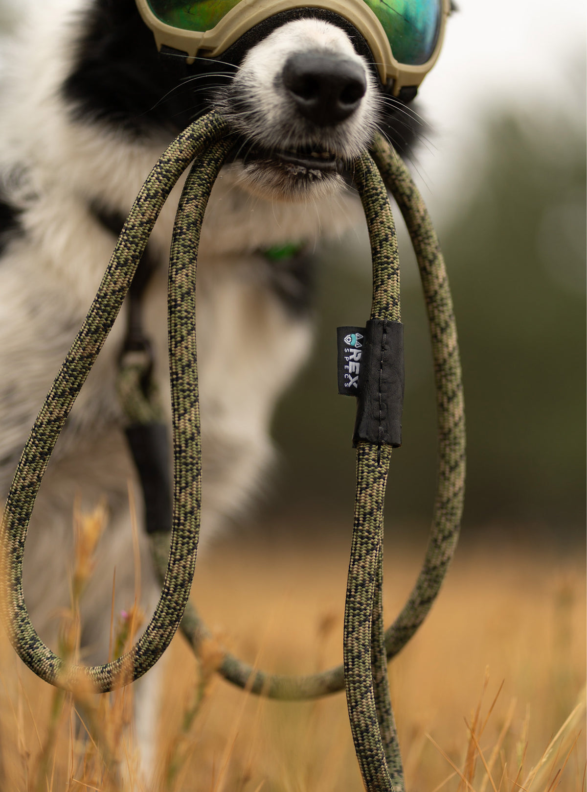 Climber Slip Lead