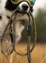 Climber Slip Lead
