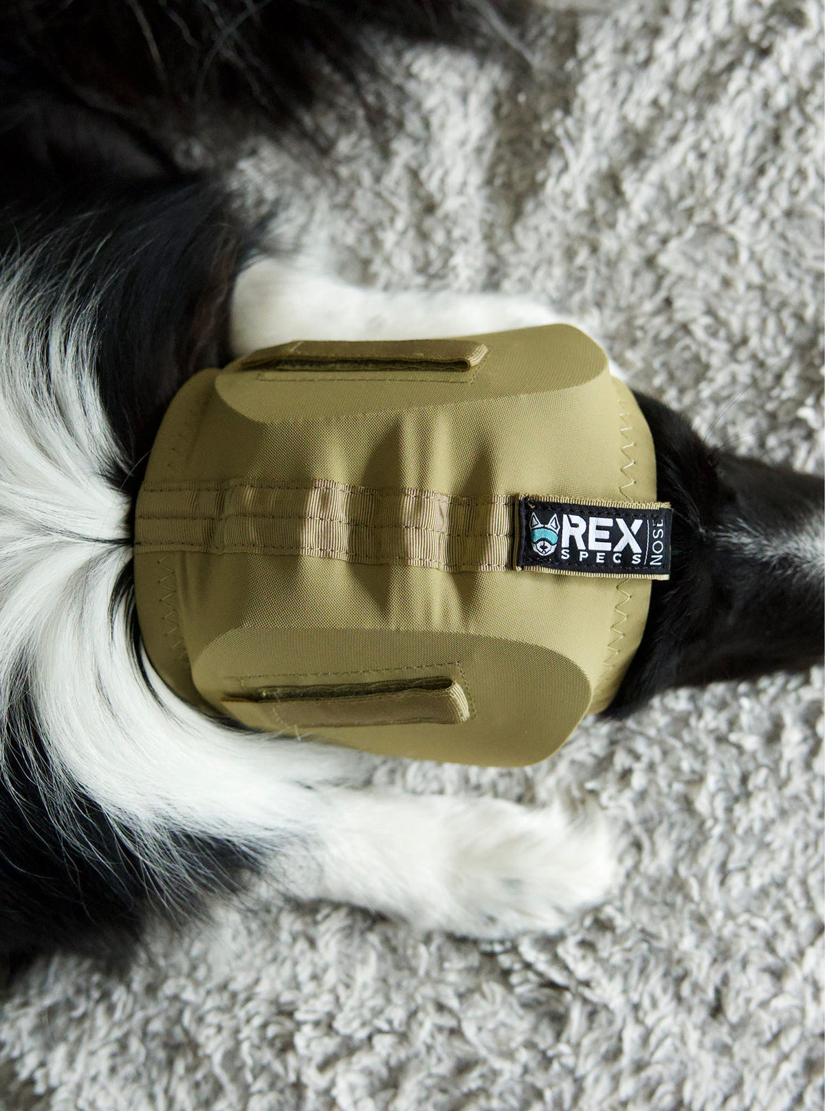 Ear Pro for Dogs