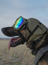Ear Pro for Dogs