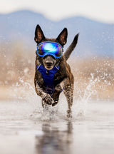 Goggles for Dogs - V2
