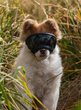 Goggles for Dogs - V2