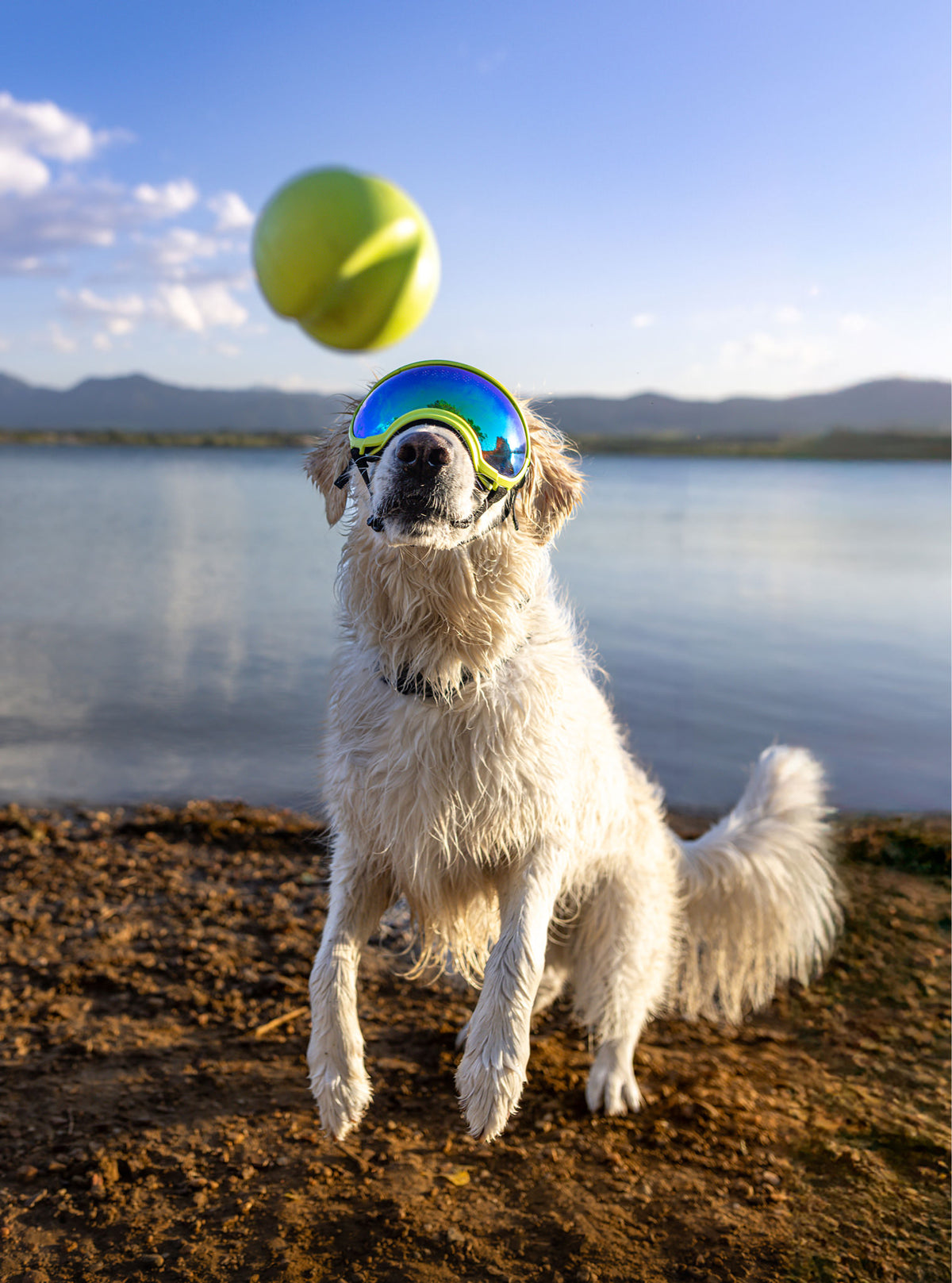 Goggles for Dogs - V2
