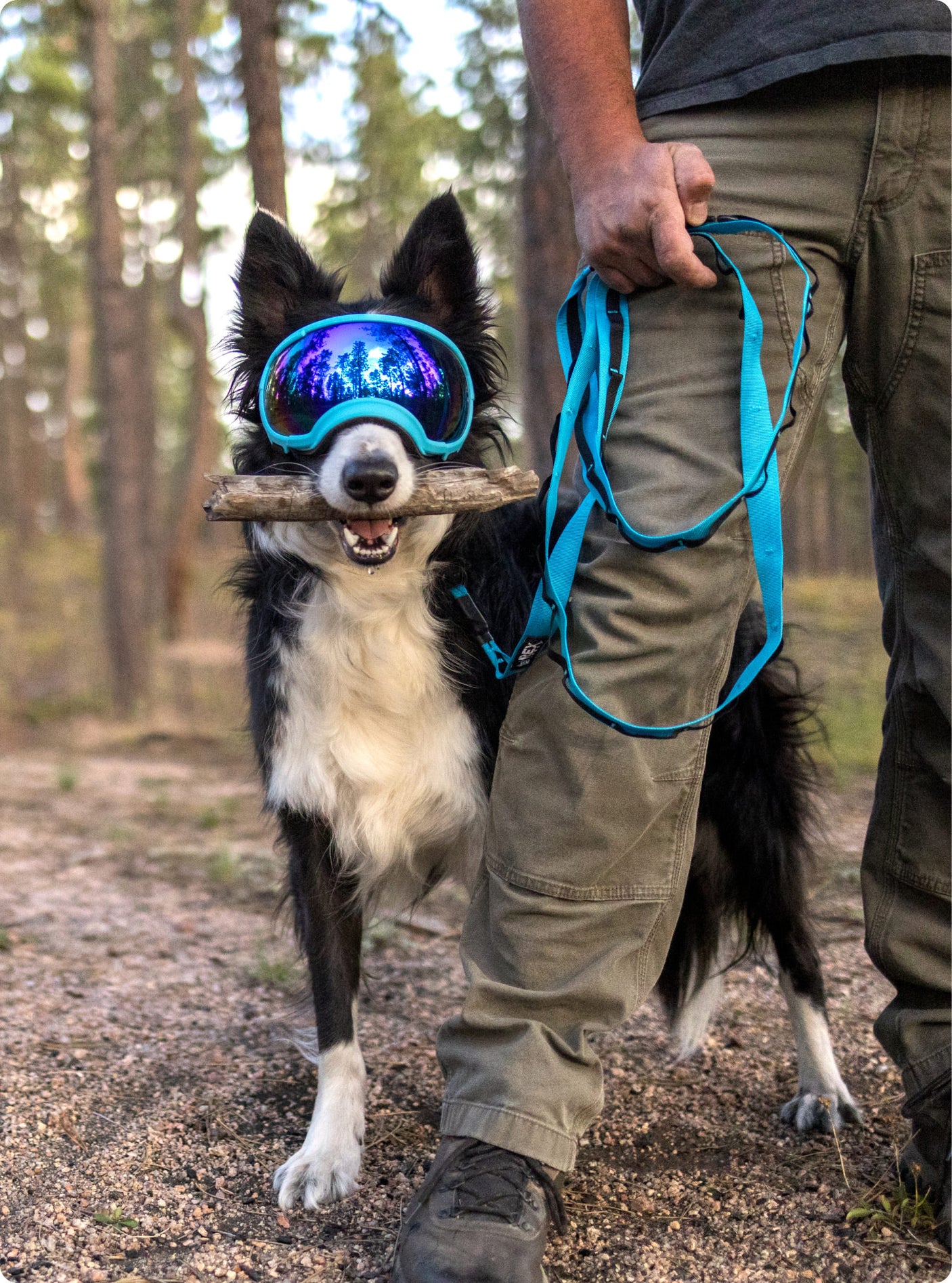 Trailhead Leash Dual Snap