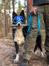 Trailhead Leash Dual Snap