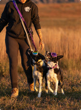 Trailhead Leash Dual Snap