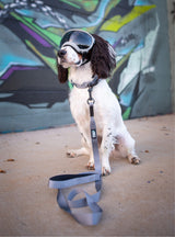 Trailhead Leash Single Snap
