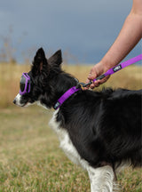 Trailhead Leash Single Snap