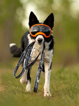 Trails End Leash