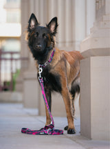 Trails End Leash