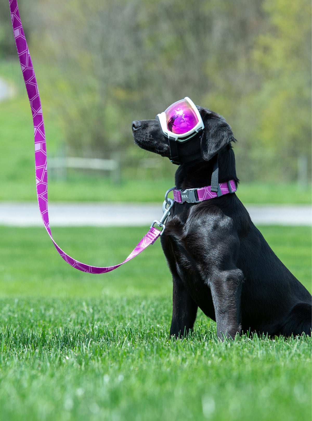 Trails End Leash