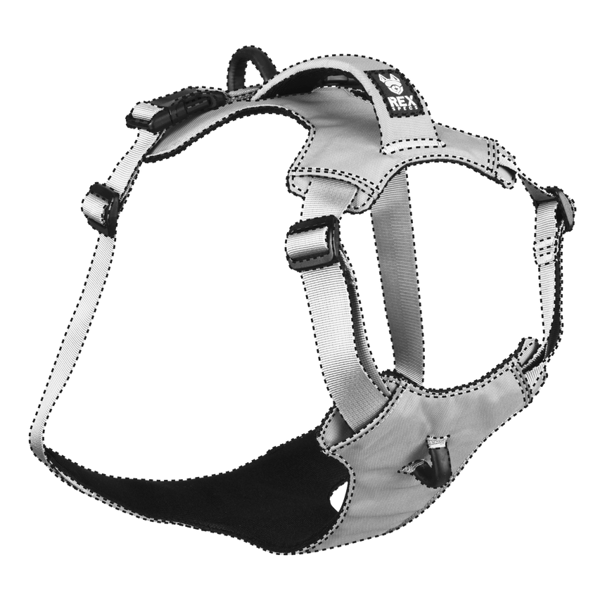 Mystery Harness
