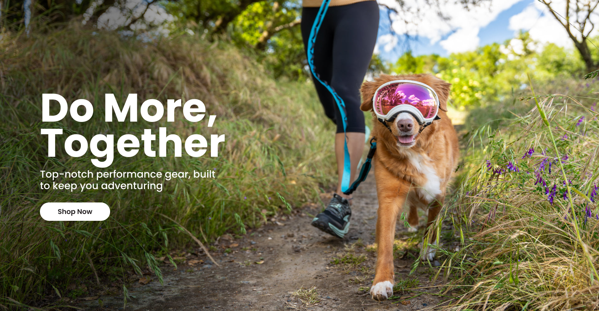 REX SPECS ゴーグル X-SMALL ピンク　新品未使用 X-Small Goggles for Dogs - V2 – Rex Specs