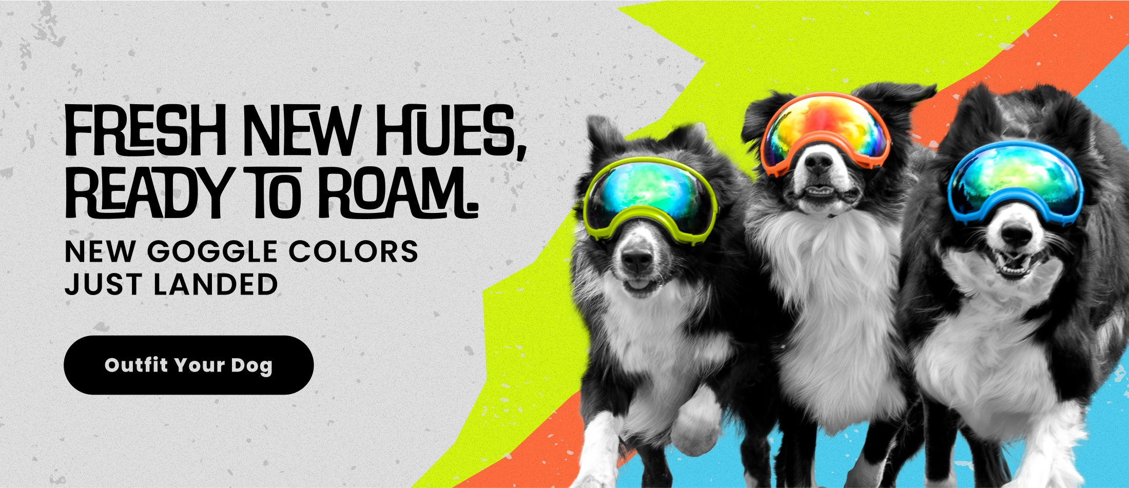 Rex Specs - Dog Goggles for the Active Dog
