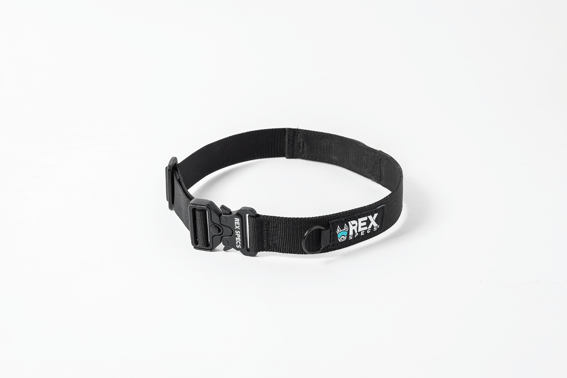 T rex dog sales collar