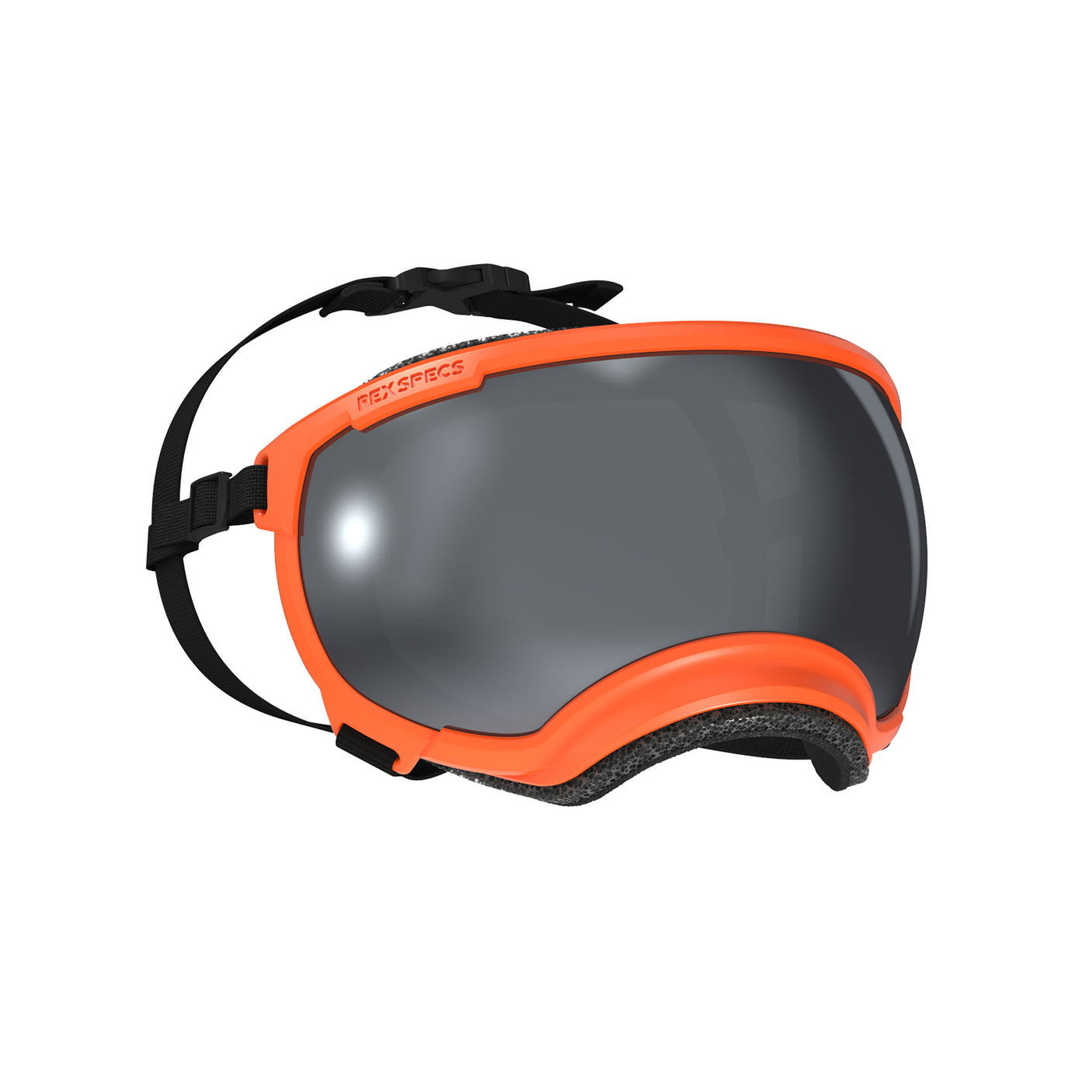 Goggles for Dogs - V2
