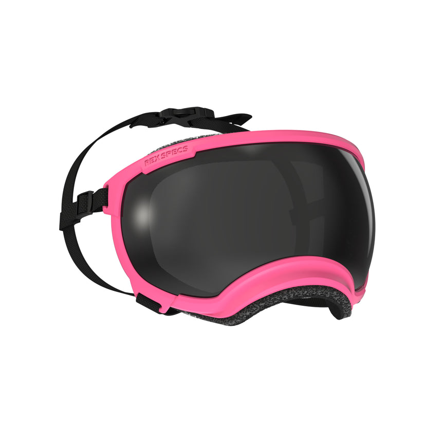 Goggles for Dogs - V2
