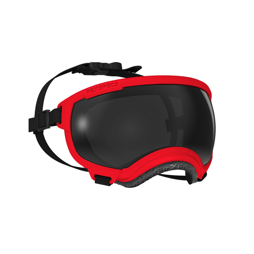 Dog Goggles, Small, Ranger Red