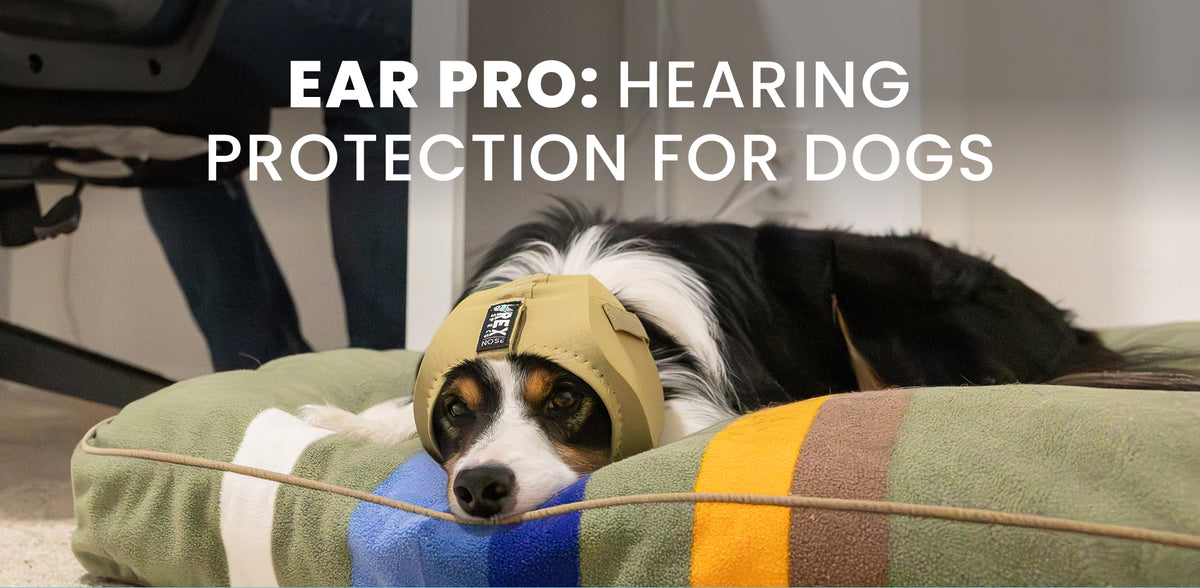 Ear Pro: Hearing Protection for Dogs – Rex Specs