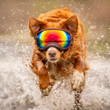 Goggles for Dogs - V2